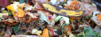 5 things you should never put in your compost