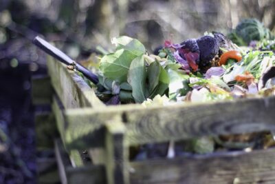 5 Best things to compost