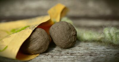 How to make seed bombs